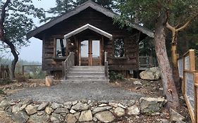 Little Refuge In Town